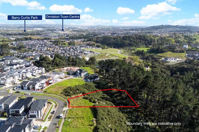 10 Bremner Ridge Street Flat Bush_1