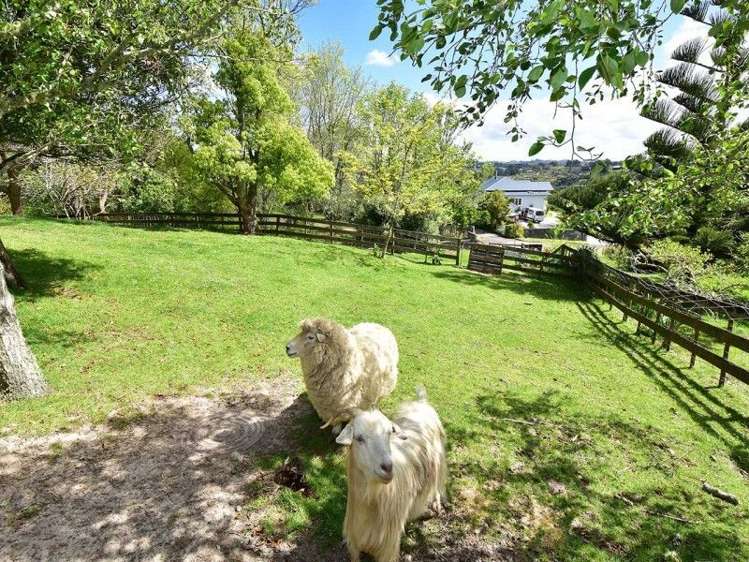 155 Whangaparaoa Road Red Beach_7