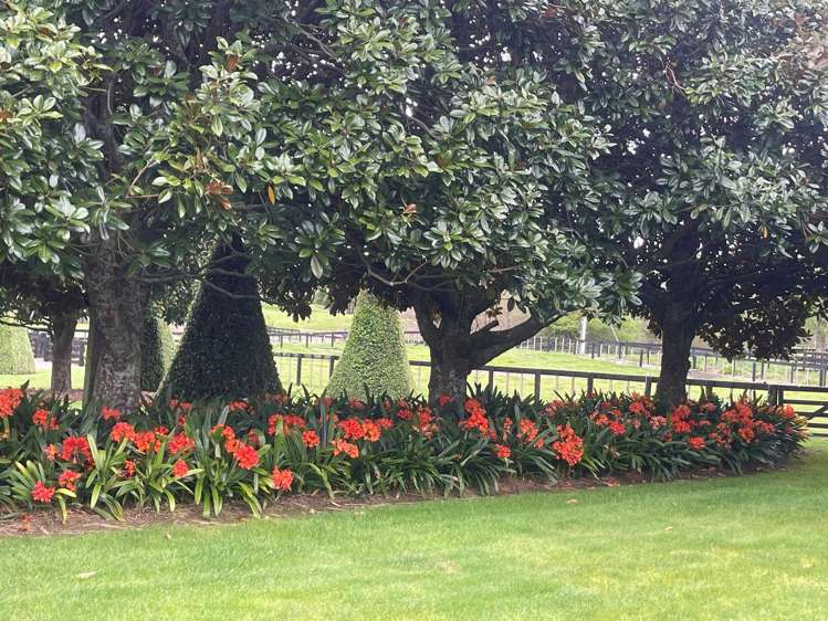 45D Arana Drive Karaka_16