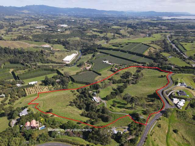 80A Wainui South Road Whakamarama_1