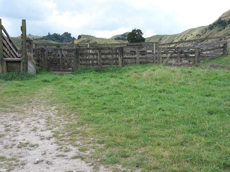 446 Stanley Road Te Popo_7