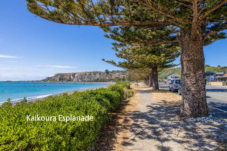 2 Lookers On Lane Kaikoura_15