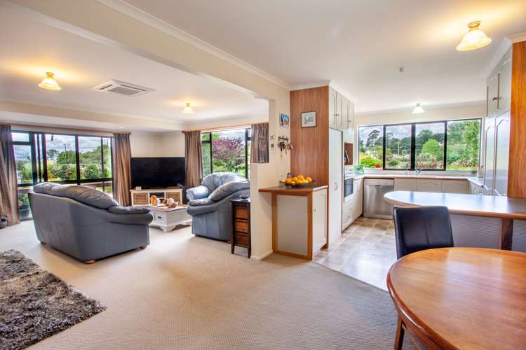 4833 State Highway 29 Matamata_5