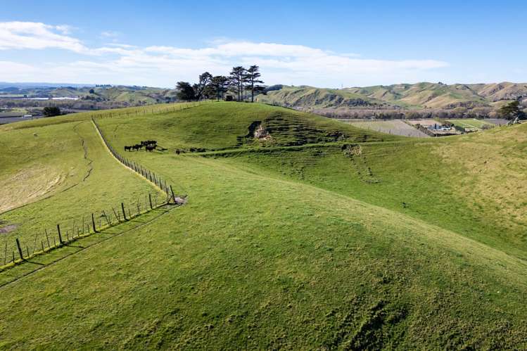 201 Breckenridge Road Puketapu_12