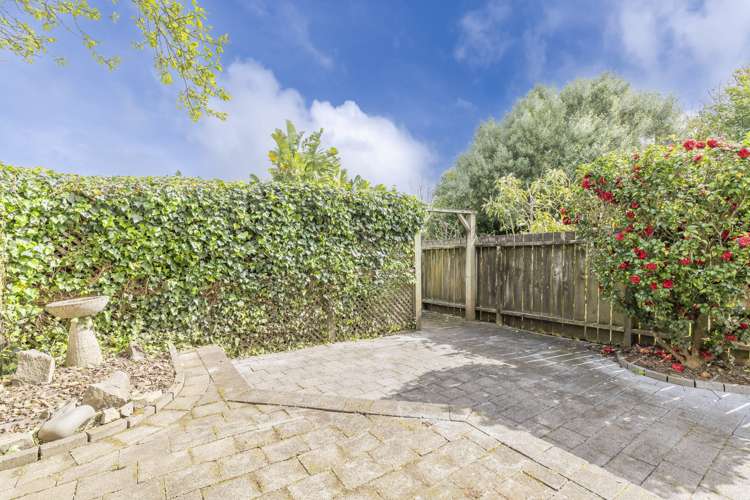 218 Richmond Road Grey Lynn_8