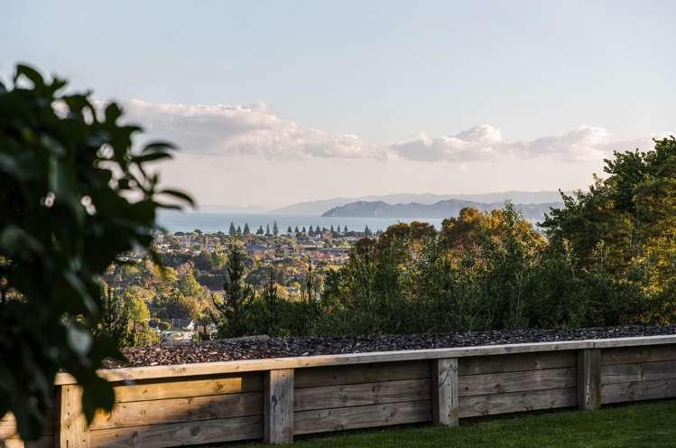 49 Hillview Terrace Mangapapa_24