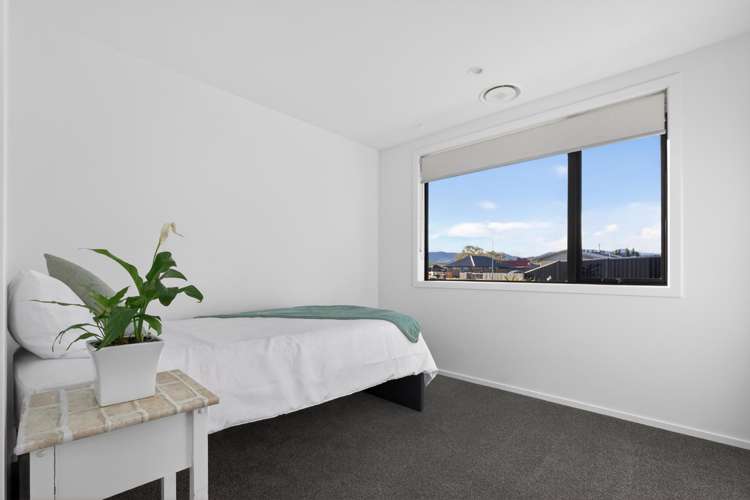 32 Plunket Street Omakau_13