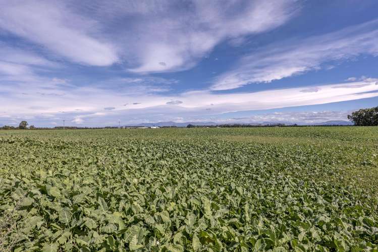 904 Dip Road Methven_15