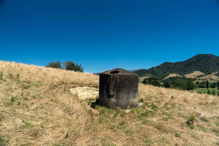 Tadmor-Bushend Road Tapawera_17