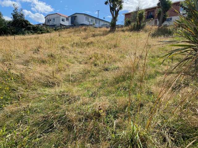 229b Clyde Street Balclutha_3