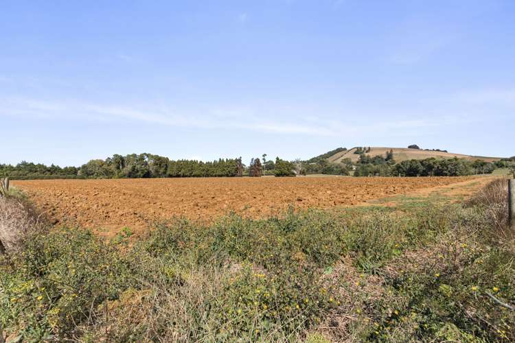 691 Highway 22 Pukekawa_19