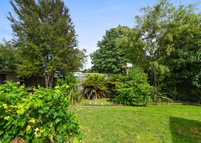 41 Mount View Drive 2632_4
