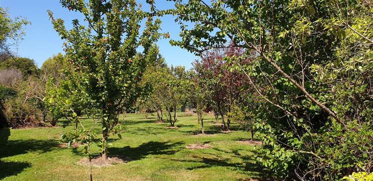 27 Thackeray Street Saint Andrews_15