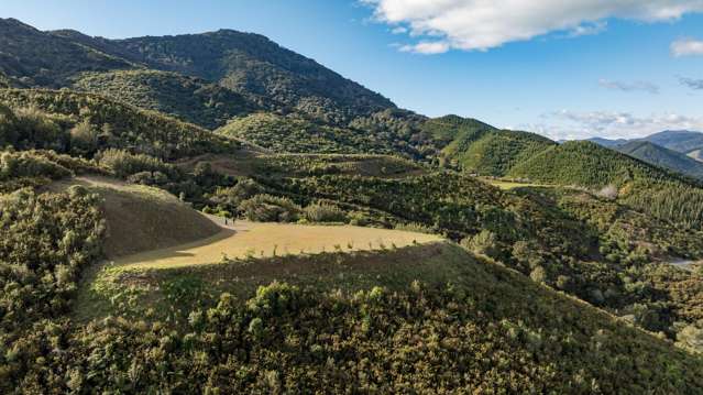 Large flat build pad, views, native bush and creek