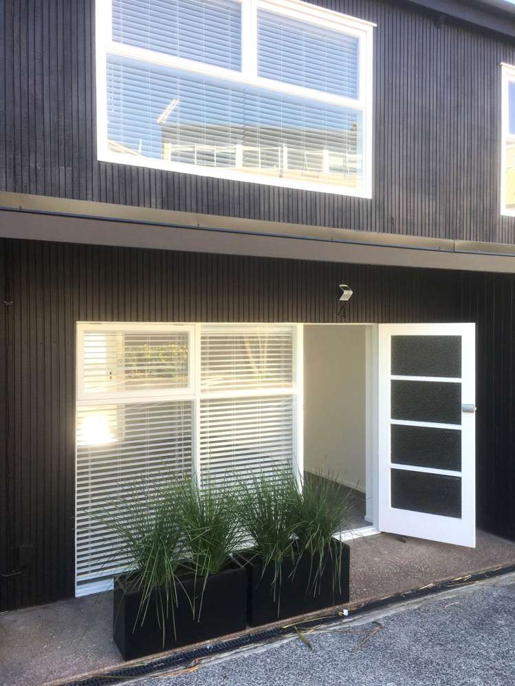 4/29a Birdwood Crescent Parnell_1