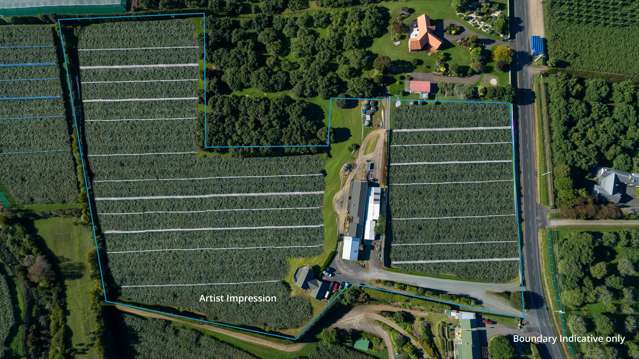 Strategic Orchard & Accommodation Investment