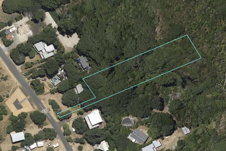 59 North Piha Road Piha_14