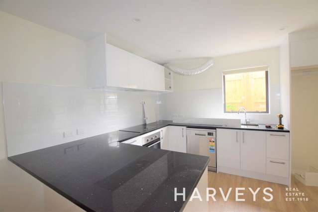 1/71 Fruitvale Road New Lynn_3