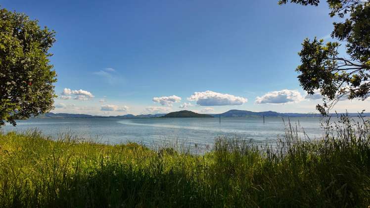 44 and 46 Takinga Street Mourea_31