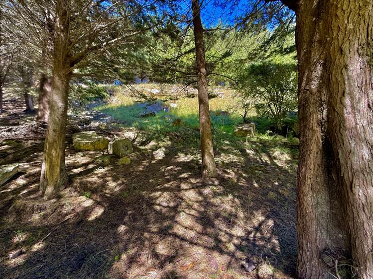 Lot 3 Fortification Road Weston_6