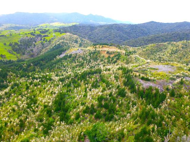 Lot 2 Waiotehue Road Broadwood_4