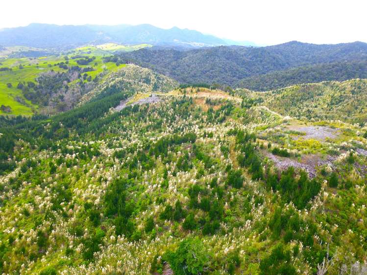 Lot 2 Waiotehue Road_4