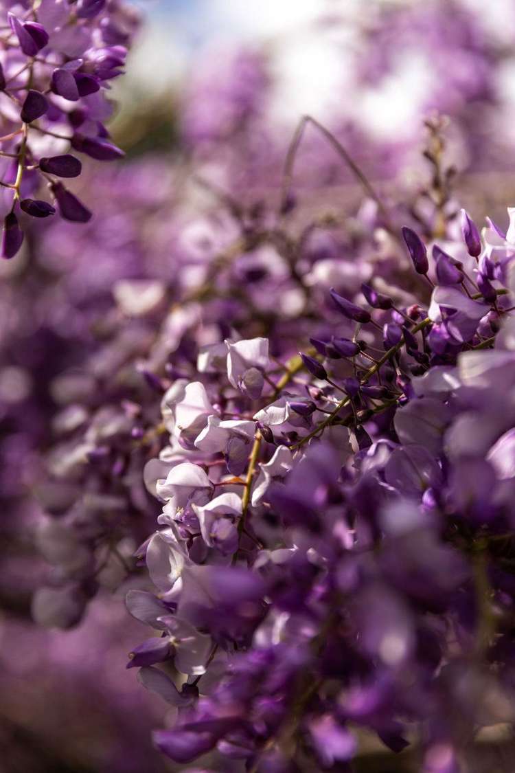 42 Galbraith Street Waihi_28