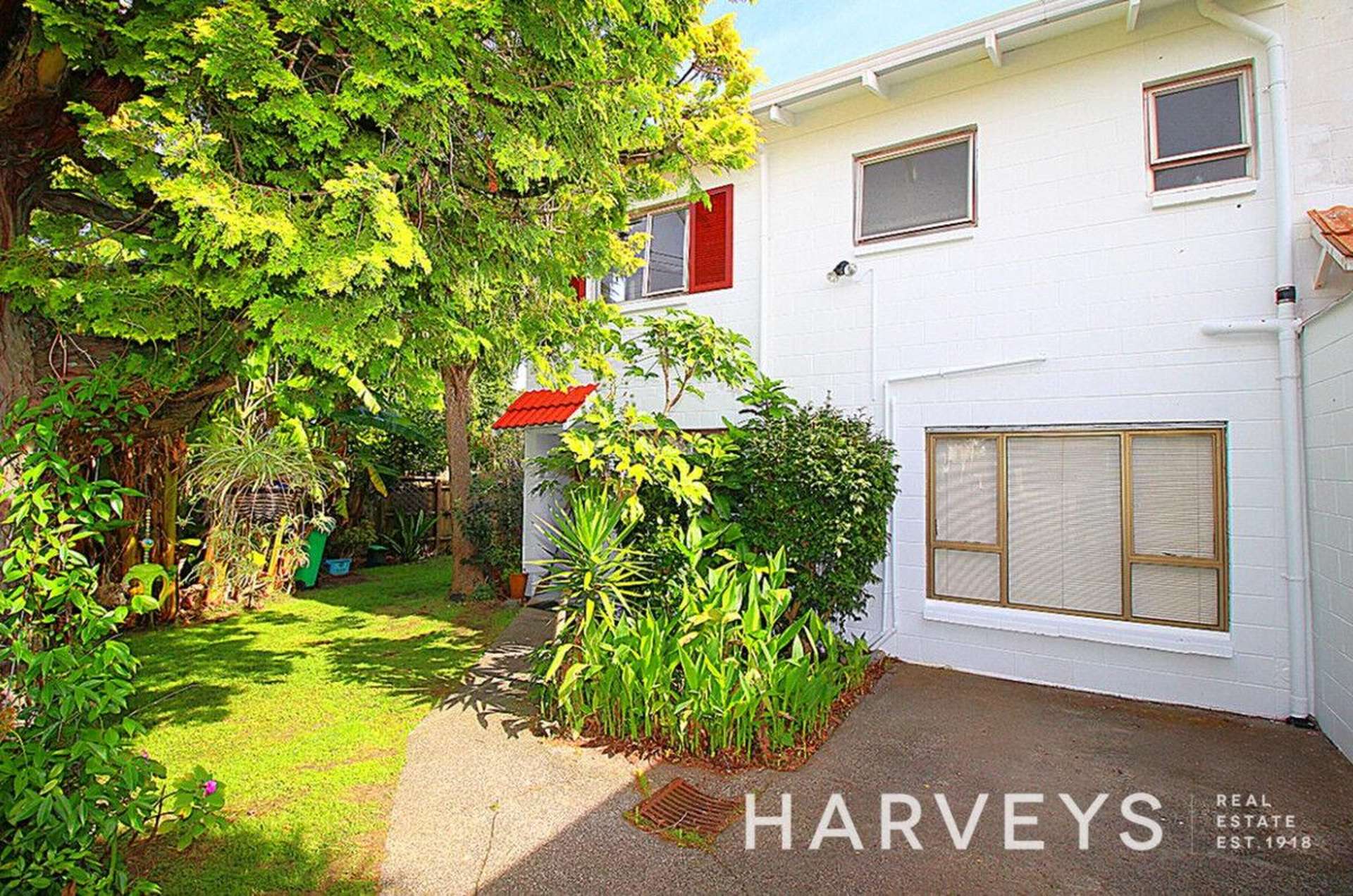 21a Saxon Street Waterview_0