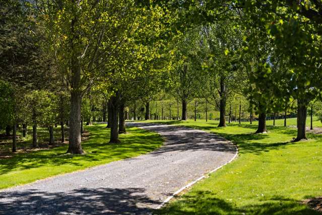Mount Algidus Station Lake Coleridge_4