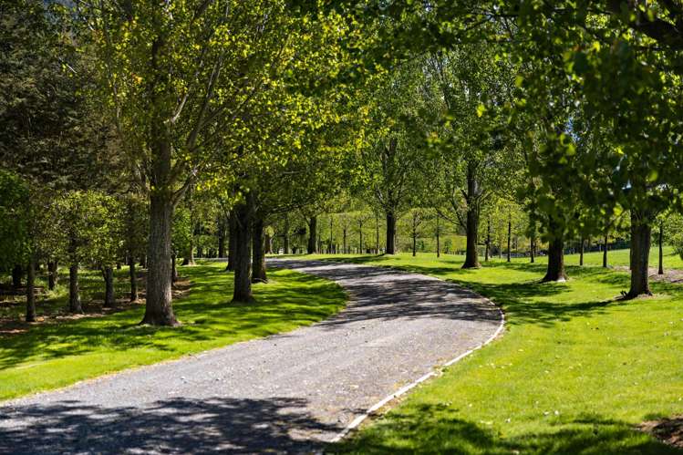 Mount Algidus Station_4