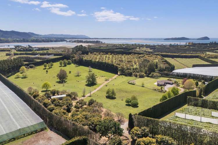 155 Ongare Point Road Katikati_33