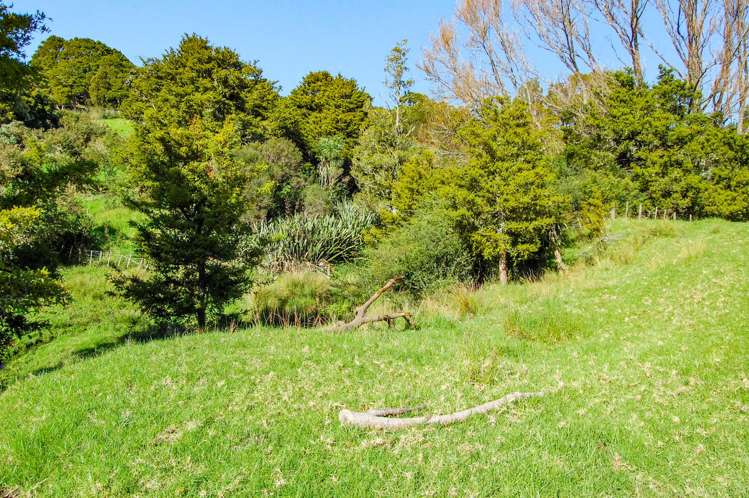 82 Settlement Road Kaiwaka_9