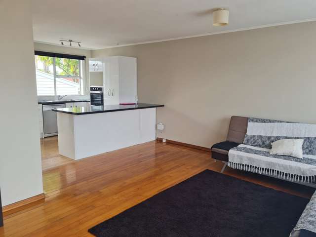 2/1 Fifth Avenue Mount Albert_2