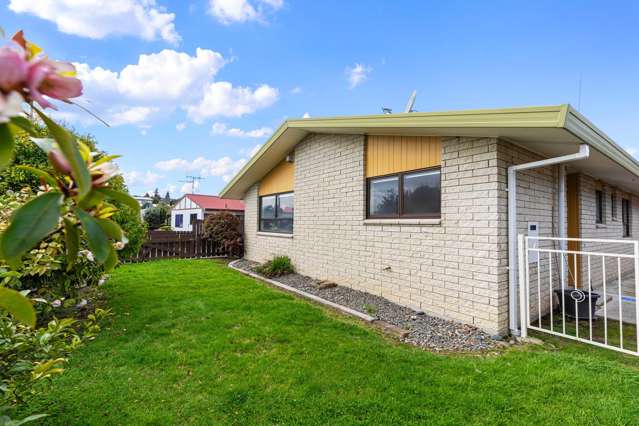 402A Ngatai Road Bellevue_2