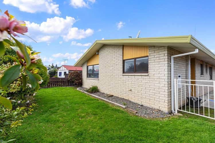 402A Ngatai Road Bellevue_2