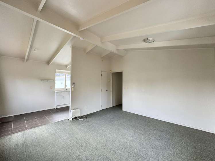 125B Seabrook Ave New Lynn_8