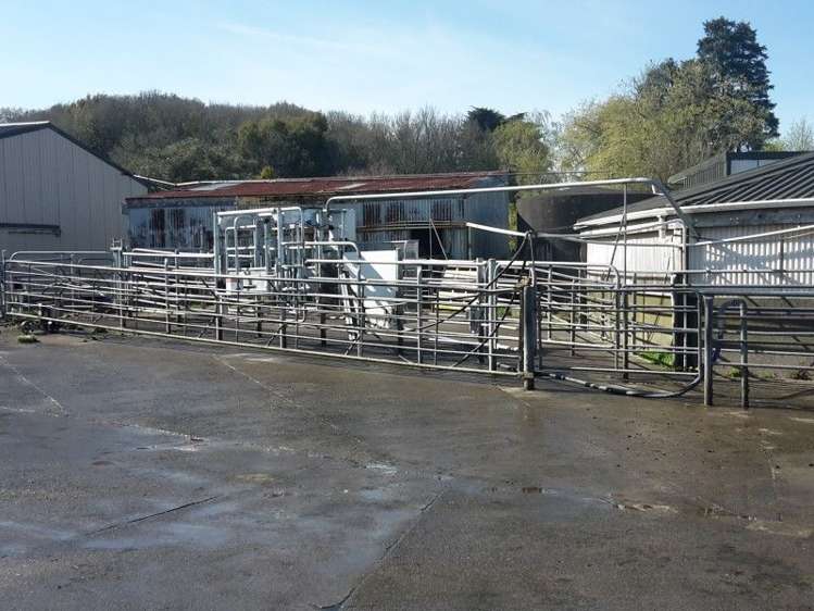 346 Rugby Road Tariki_31