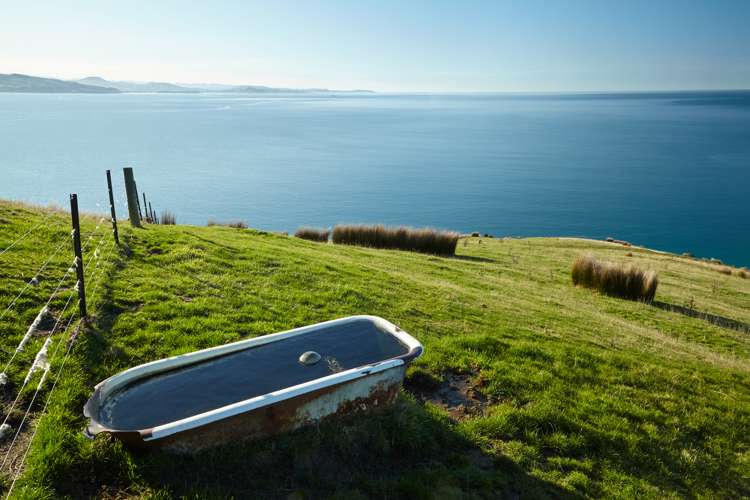 205 Heyward Point Road Heyward Point_8