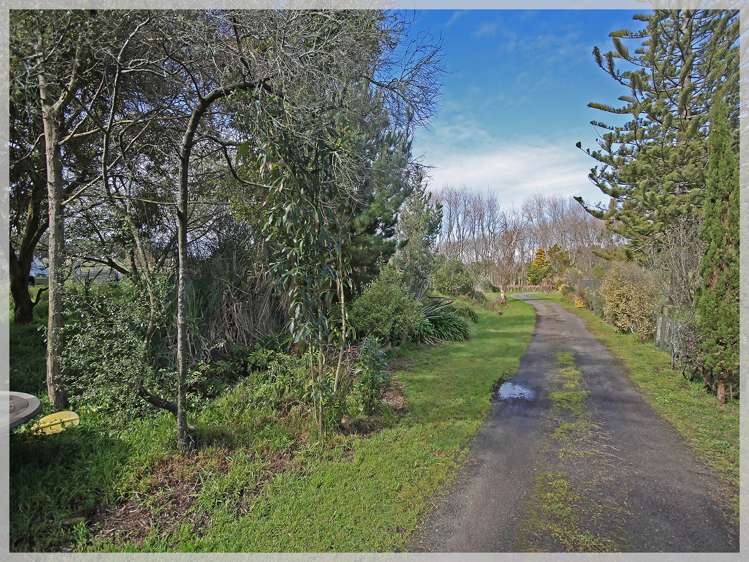 66 Palmer Road Foxton Beach_39