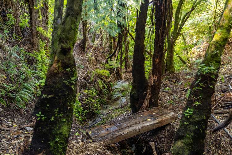 63a Cundys Road Featherston_24