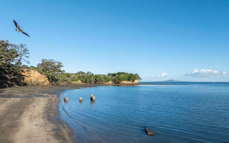 3 Daisy Burrell Drive Gulf Harbour_57