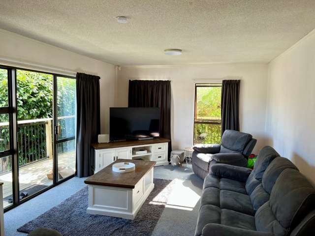 19 Green Lane Pukekohe_2