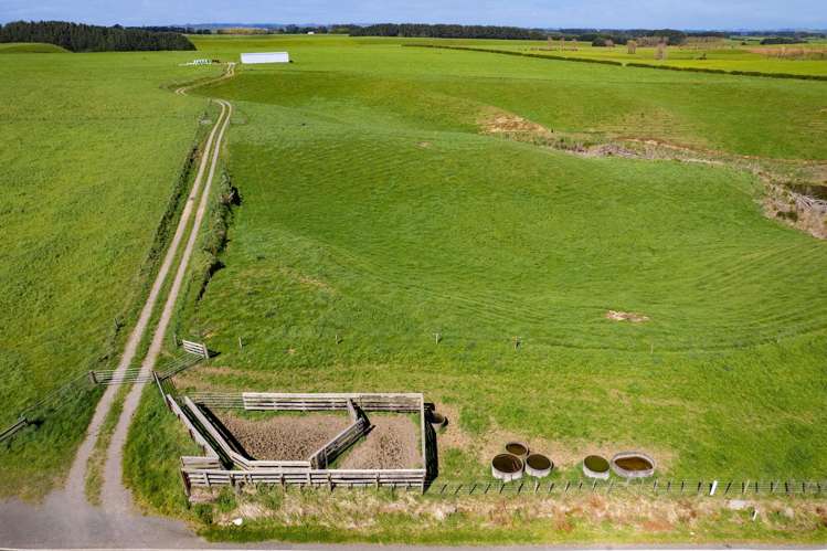 0n Mountain Road Normanby_20