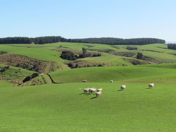 759 Waitahuna Gully Road Waitahuna_10