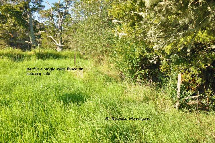 113 Te Rawhiti Road Matakohe_52