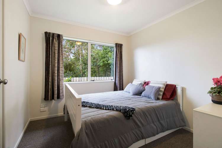 375 Hot Springs Road Hauraki Surrounds_14