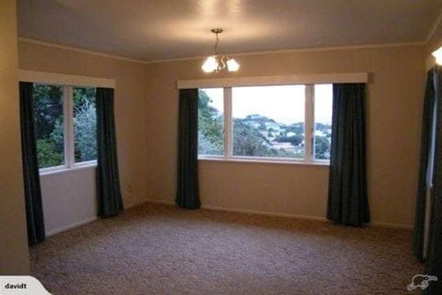 1 Mace Street Island Bay_3