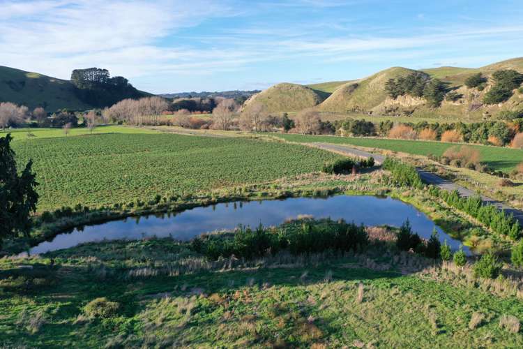 336 Makomako Road Pahiatua_13