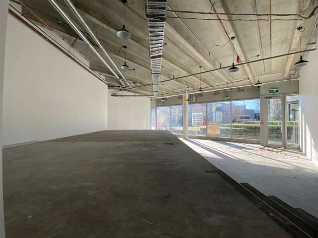 Part Ground Floor, 109 Ward Street Hamilton Central_2