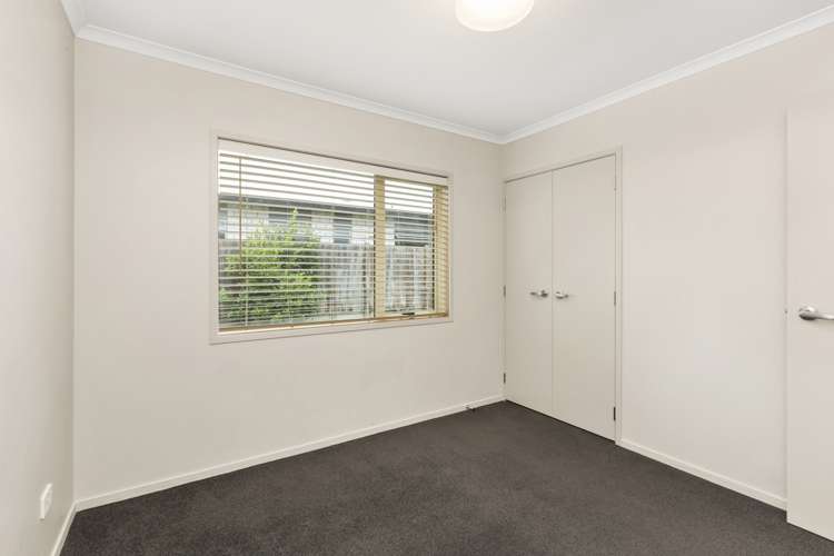 36 Tupelo Street Pukete_10